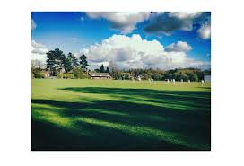 Image result for Buscot Park Cricket Club