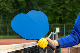 Image result for South London Area Pickleball - SLAP!