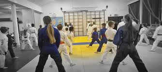 Image result for Micklefield Judo Club
