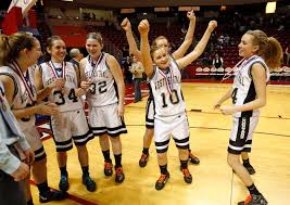 Image result for Westleigh Basketball Club