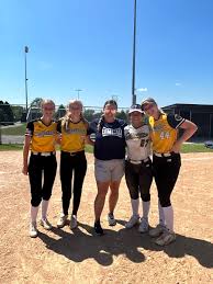 Image result for Cheetahs Softball Team