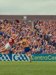 Image result for Clarehurlers