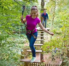 Image result for Go Ape! Moors Valley