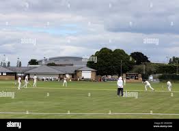 Image result for Oakfield Cricket Club