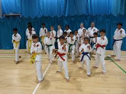 Image result for Springwood Karate