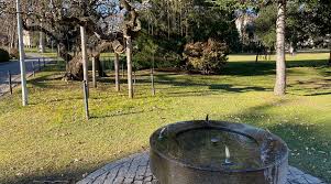 Image result for "Parco Ciani"