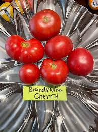Afbeeldingsresultaat voor brandywine cherry tomato