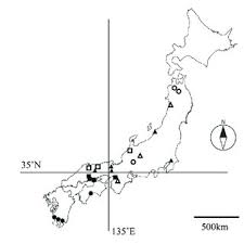 Attēlu rezultāti vaicājumam “Heterotrichia insignis (syn. Arcyria insignis) macro”