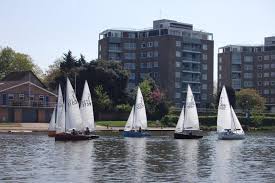 Image result for Tamesis Club