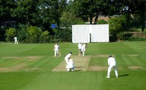 Image result for Shepherds Bush Cricket Club