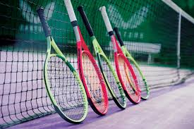 Image result for David Lloyd (Cheshire Oaks) Badminton Club