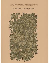 Attēlu rezultāti vaicājumam “Graphis scripta”