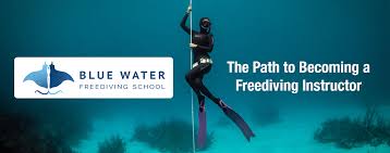 Image result for Blue Water Freediving School