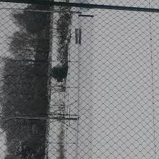 Image result for Banstead Downs Lawn Tennis Club