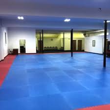 Image result for Full Element Mixed Martial Arts