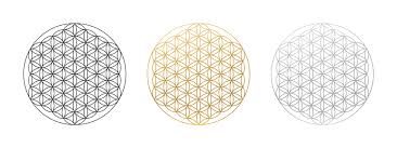 Image result for life flower