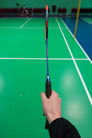 Image result for Shap Badminton Club