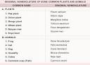 Binomial Nomenclature | Tutorvista.