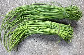 Image result for root-tail