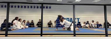 Image result for Impact Martial Arts