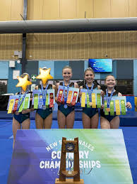 Image result for Northern Gymnastics Club CIC