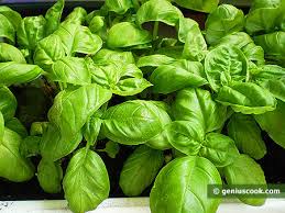 images?q=tbn:ANd9GcQmalwD9L49nP4xjzqIpgFLNr8jQ5vuIAau9mYK5C8DNmLN4vpV