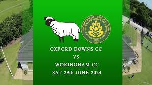 Image result for Wokingham Cc
