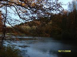 Weiher - Bild \u0026amp; Foto von Edeltraud Martin aus opt. Phänomene der ...