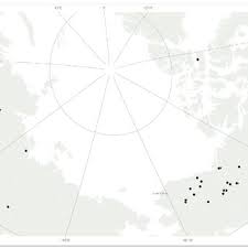 Attēlu rezultāti vaicājumam “Schistidium dupretii sporophyte”