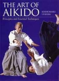 Image result for Ki Aikido (Epsom Ki Aikido