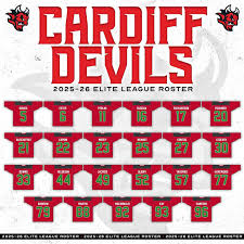 Image result for Cardiff Devils