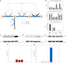 Image result for Vcd Ttc