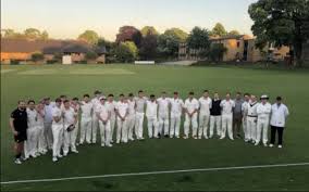 Image result for The Paddock Cricket Club