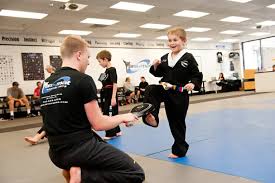 Image result for Skillz Martial Arts