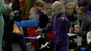 Image result for Northern Parkour Club