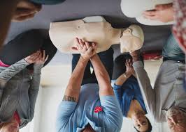 Image result for Brighton Octopush Club