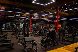 Image result for Notts Bigwood Gym Club