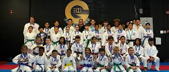 Image result for Hetton and Murton Karate Academy