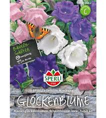 Image result for Marienglockenblumen