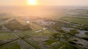 Image result for Cooden Beach Sports and Social