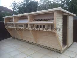 Image result for Meridian Racing Pigeon Lofts