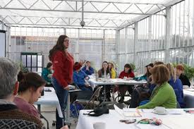 Image result for Orkney Youth Development Group