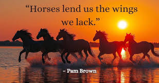 Image result for Winchester Riding Club