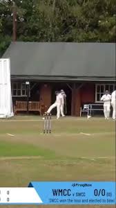 Image result for South Weald Cricket Club