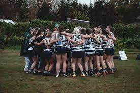 Image result for West London Wildcats