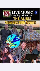 Image result for Steyning Cricket Club