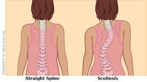 Image result for Curves