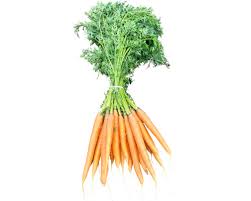 Image result for Möhren