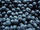 Food-Info.net : Anthocyanins and anthocyanidins