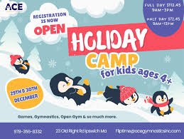 Image result for Ipswich Gymnastics